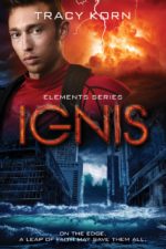 IGNIS by Tracy Korn